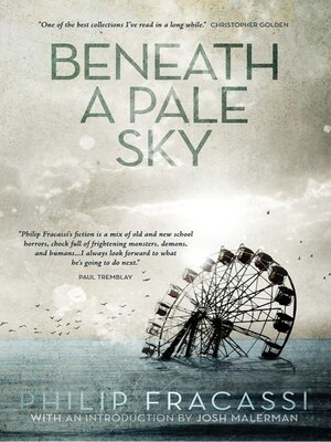 cover image of Beneath a Pale Sky